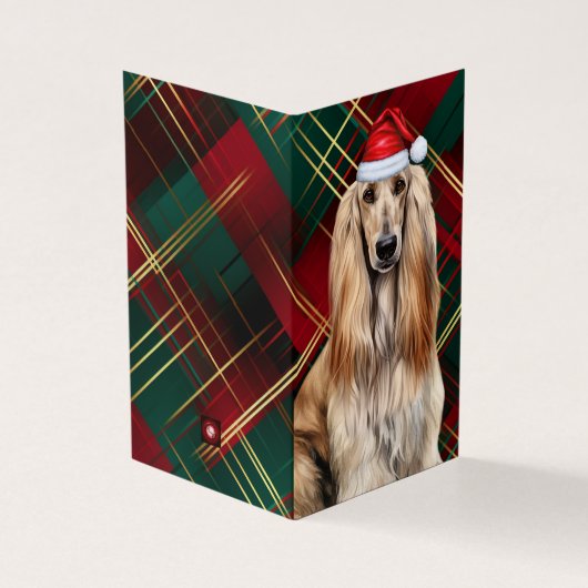 Afghan Hound Christmas Dog with Holiday Plaid (Outside)