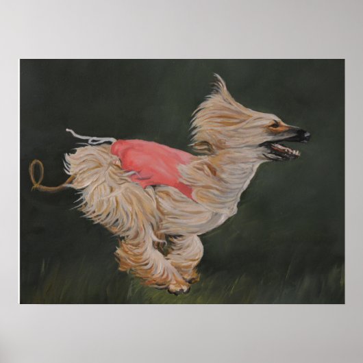 Afghan Hound Coursing Reproduction Poster Art (Devant)
