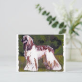 Afghan Hound Dog Briefkaart (Staand voorkant)