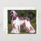 Afghan Hound Dog Briefkaart (Voorkant / Achterkant)