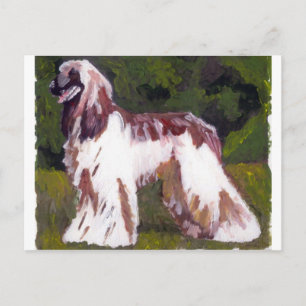 Afghan Hound Dog Briefkaart