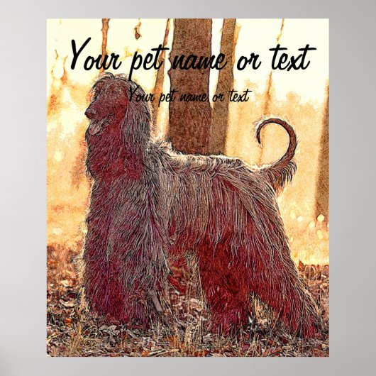 Afghan hound dog in the forest poster (Voorkant)