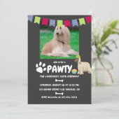 Afghan Hound Dog Invitation photo d'anniversaire (Debout devant)