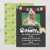 Afghan Hound Dog Invitation photo d'anniversaire