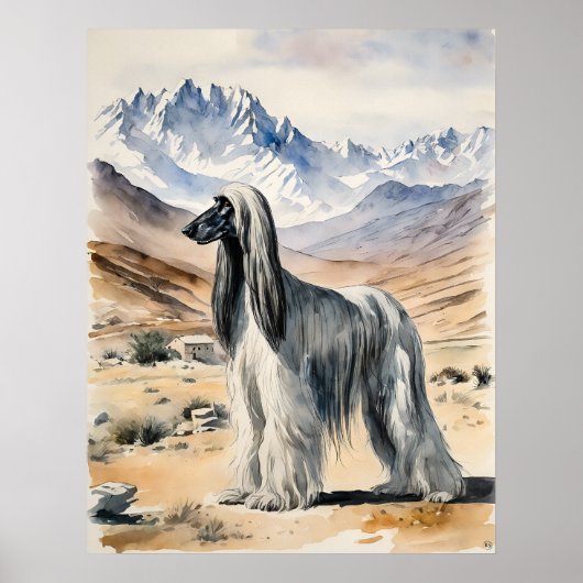 Afghan Hound - Hond Art Print (Voorkant)