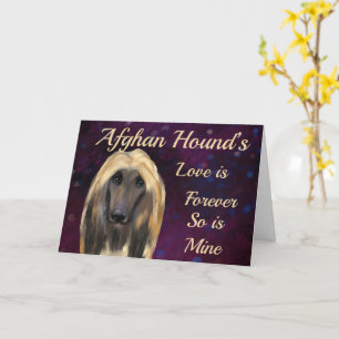 AFGHAN HOUND KAART