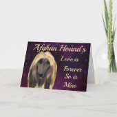 AFGHAN HOUND KAART (Voorkant)