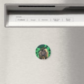 AFGHAN HOUND MAGNEET (Insitu (Vaatwasser))