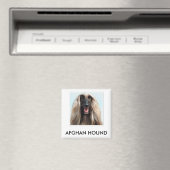 Afghan Hound Magnet Magneet (Insitu (Vaatwasser))