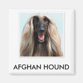 Afghan Hound Magnet Magneet