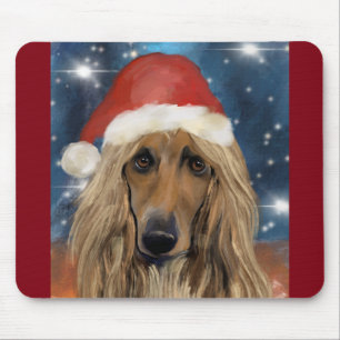 AFGHAN HOUND MUISMAT