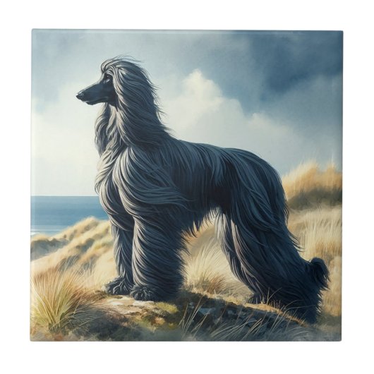 Afghan Hound Tegeltje (Voorkant)