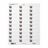 Afghan_Shepherd Etiket (Full Sheet)
