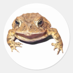 Afkeurende Toad Ronde Sticker