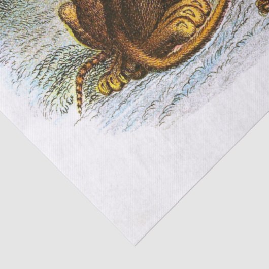 Afleiding  leeuwen en kubussen tissuepapier (Detail)