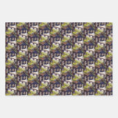 Afmetingen van Curiosity Inpakpapier Vel (Voorkant 3)