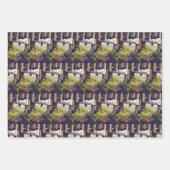 Afmetingen van Curiosity Inpakpapier Vel (Voorkant 2)