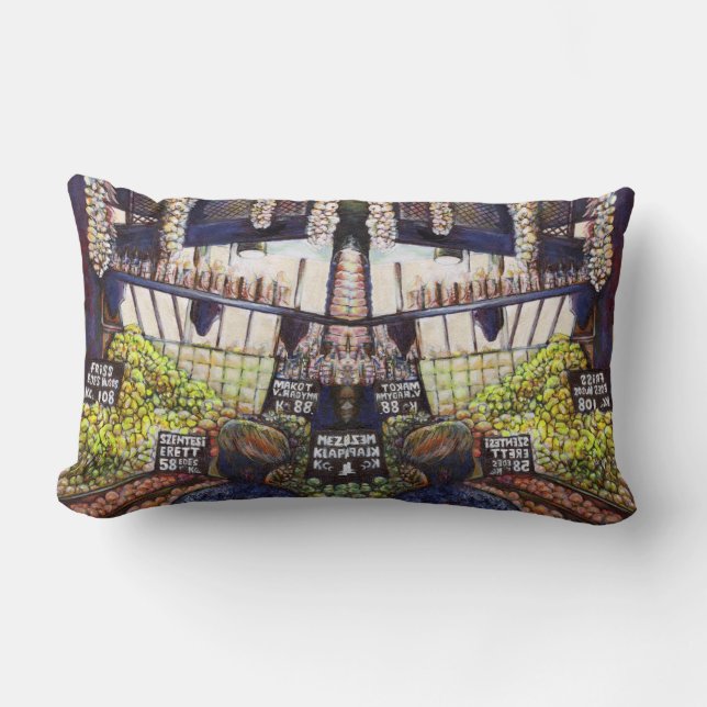 Afmetingen van Curiosity Kussen (Voorkant)