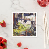 Afmetingen van Curiosity Servet (Insitu)