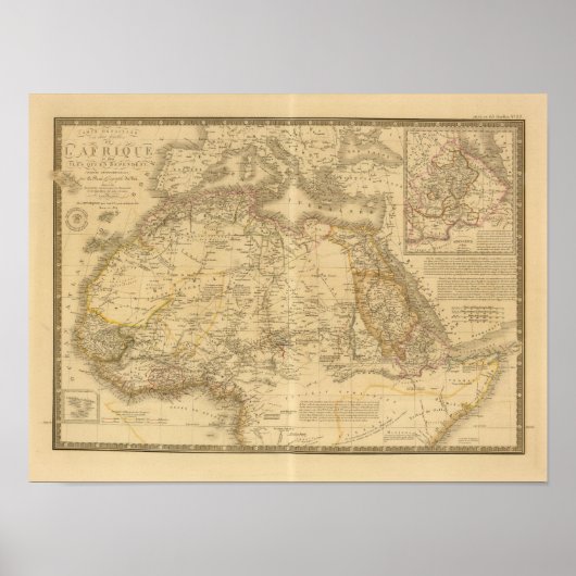 Africa 20 poster (Voorkant)