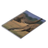 Africa, Kenia, Masai Mara Game Reserve, Two Bull Notitieboek (Linkerzijde)