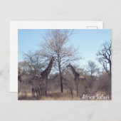 Africa Safari Briefkaart (Voorkant / Achterkant)