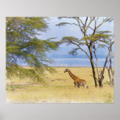 Africa Safari Giraffe Waterverf Painting Poster (Voorkant)