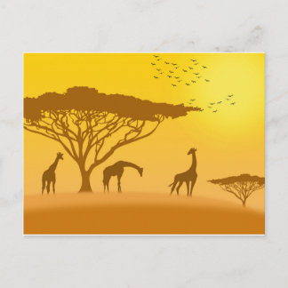 Africa Sunset Silhouette Briefkaart
