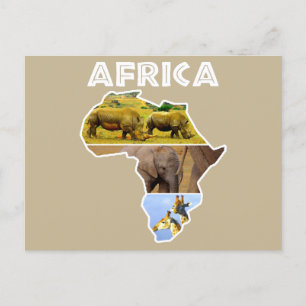 Africa Wildlife Continent Collage Holiday Briefkaa Feestdagenkaart