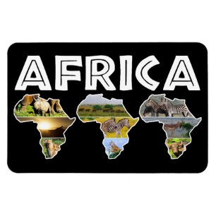 Africa Wildlife Continent Trio Collage Magneet