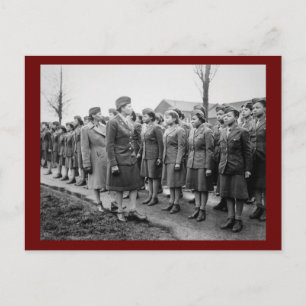 African American Kantoor Inspections Troops Briefkaart