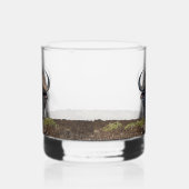 African buffalo whisky glas (Rechts)
