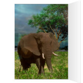 African Bull Elephant, Birthday Kaart (Binnen (Links))