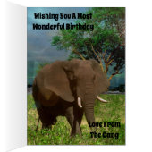 African Bull Elephant, Birthday Kaart (Binnen (Rechts))