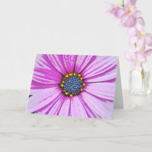 African Daisy Art Pink Flower Note Kaart