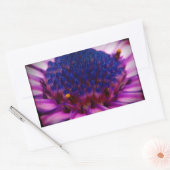 African Daisy Blossom Rectangle Sticker (Envelop)
