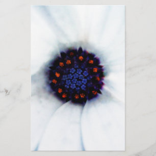 African Daisy Briefpapier