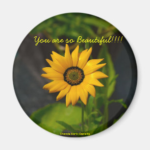 African Daisy-Circle Magnet Magneet