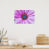 African Daisy Close Up Poster Kunst (Keuken)