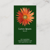 African Daisy - Donkergroen Visitekaartje (Achterkant)