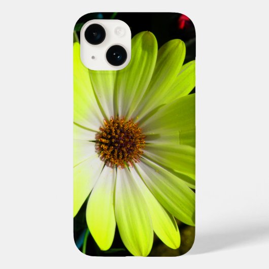 African Daisy Fluorescent Yellow Case-Mate iPhone Case (Achterkant)