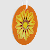 African Daisy / Gazania - Orange et Jaune (devant)