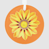 African Daisy / Gazania - Orange et Jaune (dos)