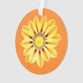 African Daisy / Gazania - Orange et Jaune (devant)