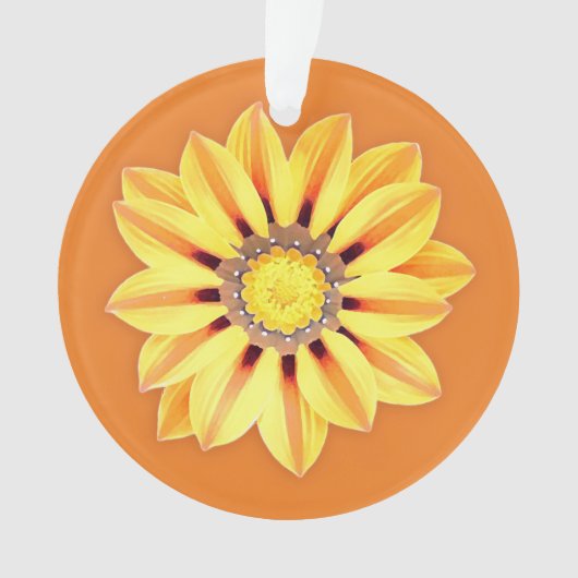 African Daisy / Gazania - Orange et Jaune (devant)