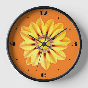 African Daisy / Gazania - Oranje en geel