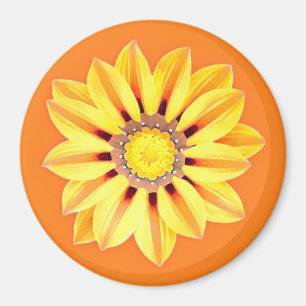 African Daisy / Gazania - Oranje en geel Magneet