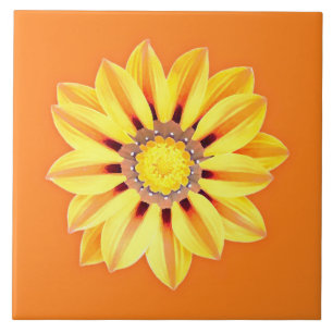 African Daisy / Gazania - Oranje en geel Tegeltje