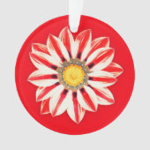 African Daisy/Gazania - Rode en witte streep Ornament (voorkant)