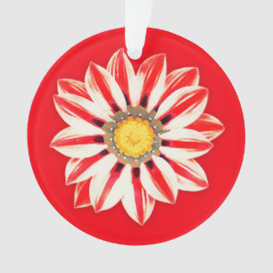 African Daisy/Gazania - Rode en witte streep Ornament